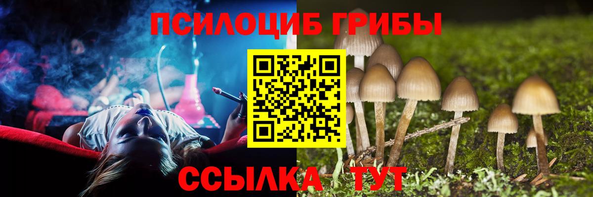 Галлюциногенные грибы прущие грибы Донецк